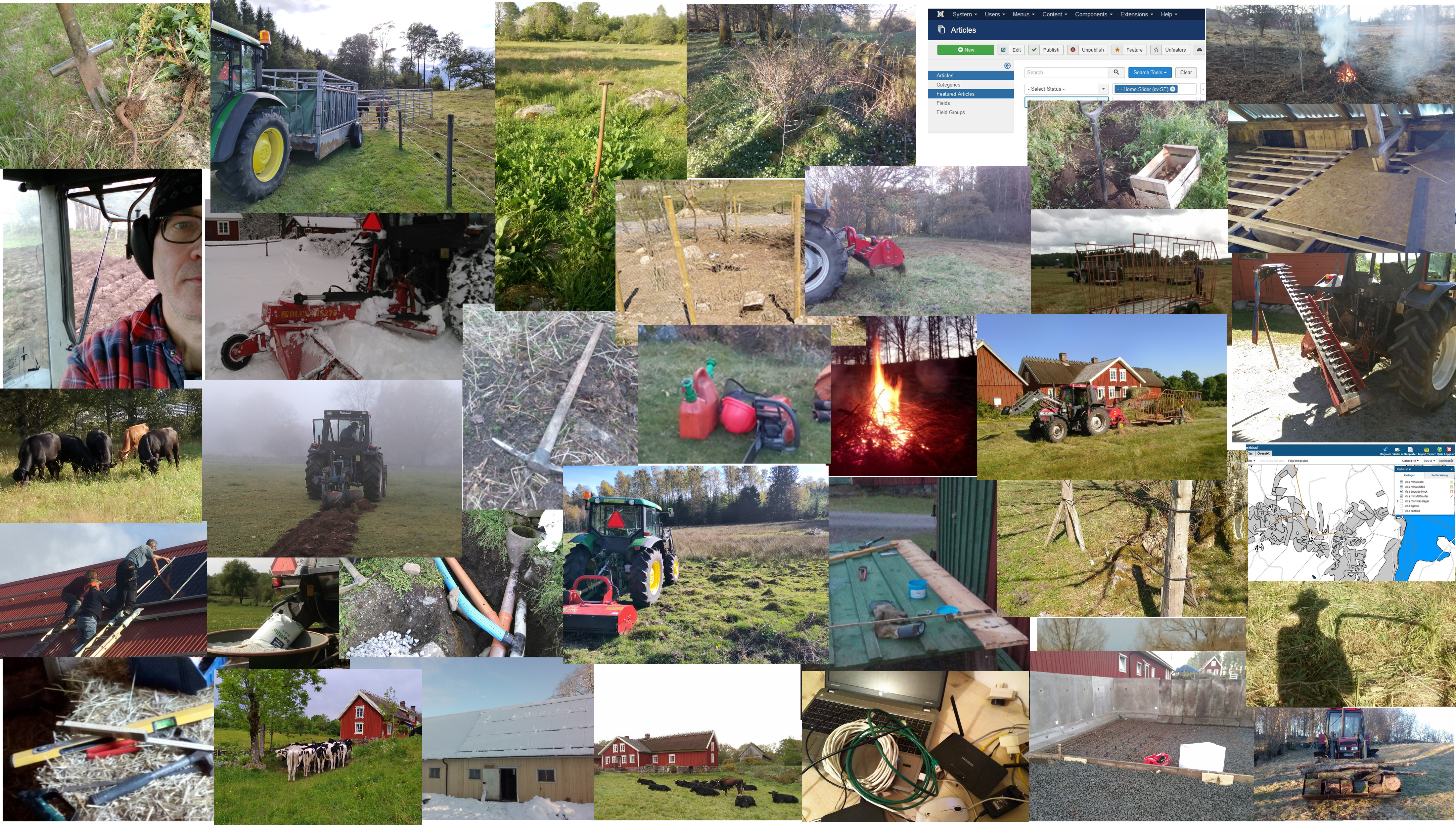 The picture shows various activities that a farmer carries out. 