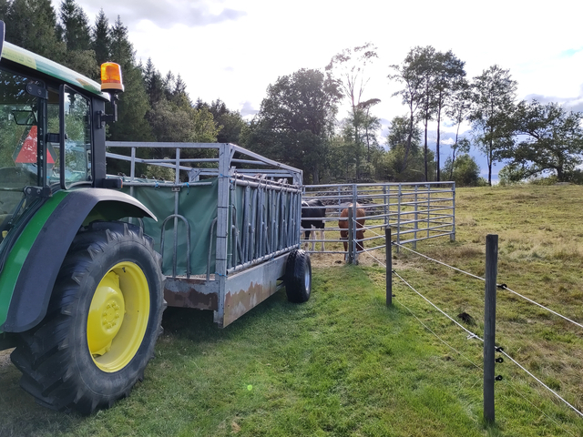Traktor med djurkärra